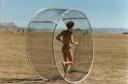 hamster wheel