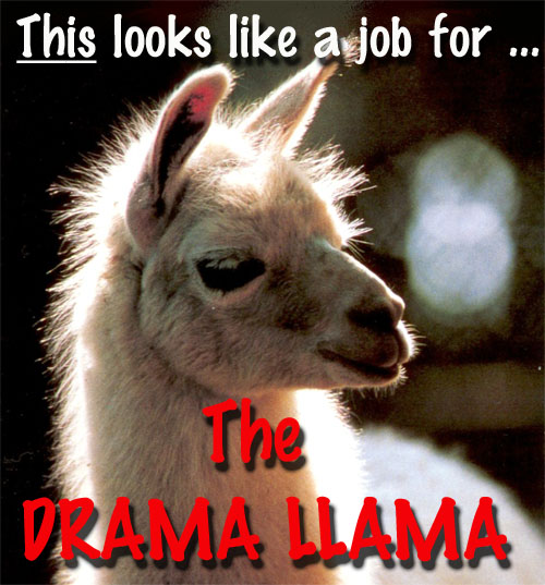 Drama Llama worked overtime today