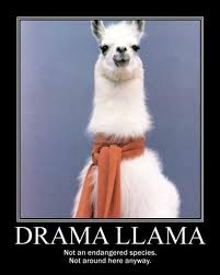 Drama Llama not endangered. Not anywhere in the vicinity of Raincoaster.