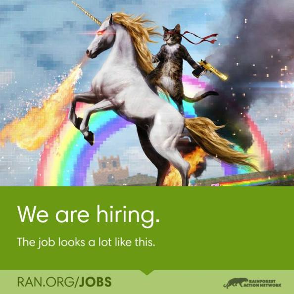 Rainforest Alliance seeks awesomeness